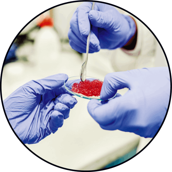 ALL CONTRACT LIQUID AND POWDER MANUFACTURING | RAW MATERIALS